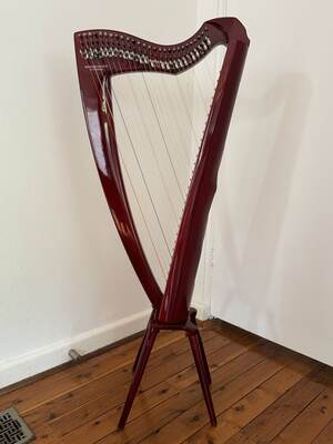 Georgias_harp_2.jpg